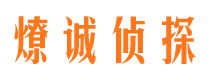 中原侦探